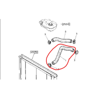 Durite inférieure pour Renault - 5000392807