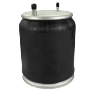 Coussin d'air AR pour Renault - 7421978500