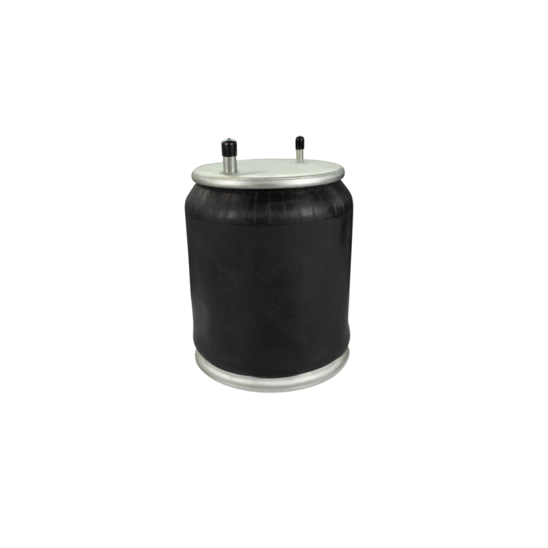 Coussin d'air AR pour Renault - 7421978500