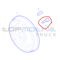 Vis de volant moteur pour Renault - 7485136078