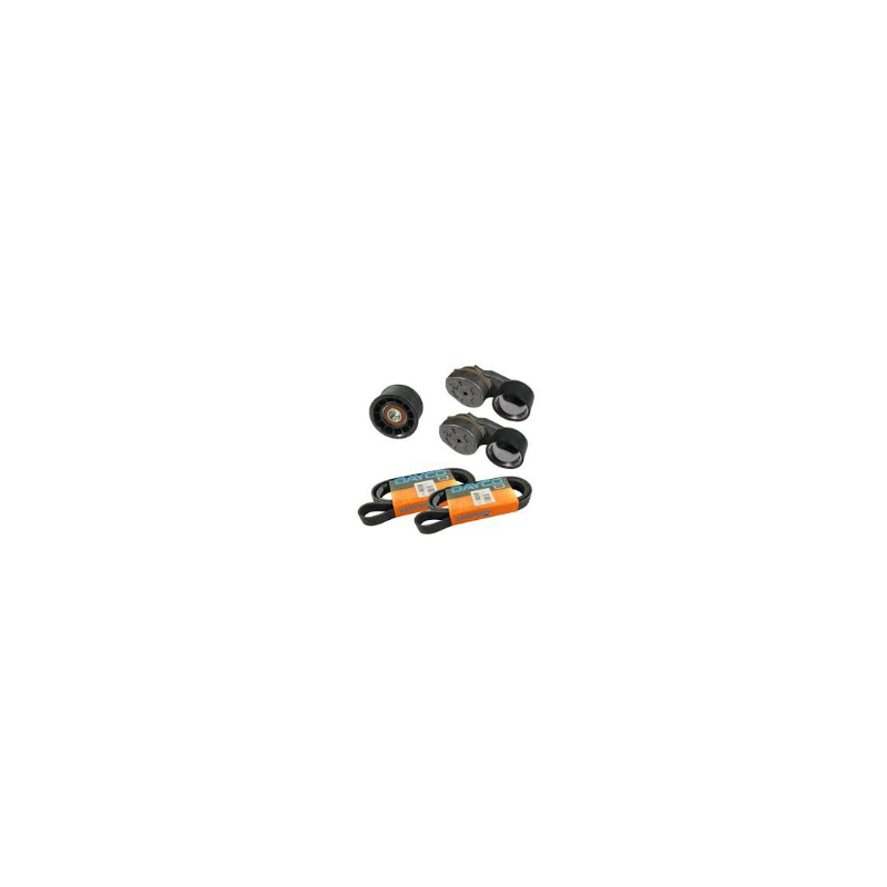 Kit galet tendeur pour Renault - 7423670641