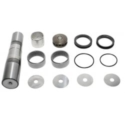 Kit pivot pour Daf