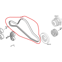 Courroie d'alternateur pour Iveco - 504388060