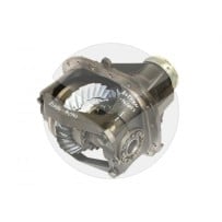 NEZ DE PONT AA1022 ECHANGE RECONDITIONNE pour DAF 1715997