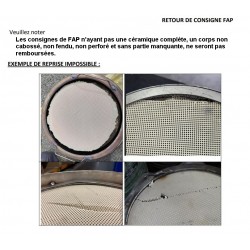 Filtre à Particules échange standard POUR RENAULT TRUCKS D