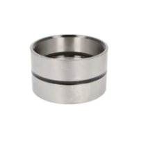 Douille de BV pour DAF - 0069573