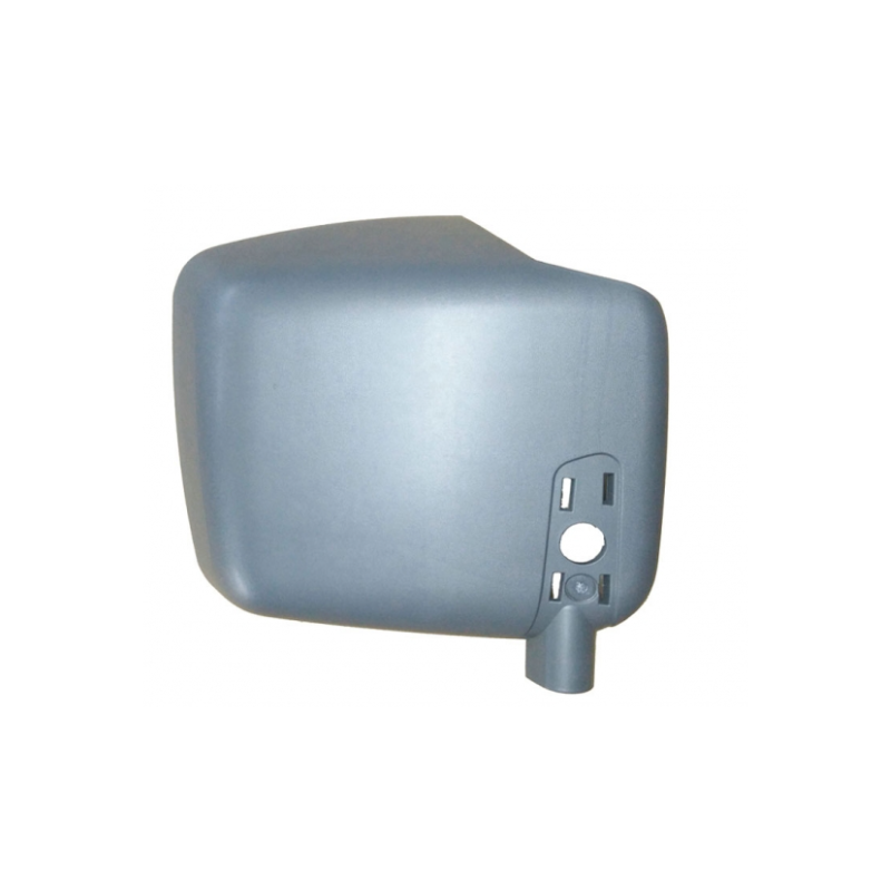 Carter de rétroviseur Grand Angles version gris