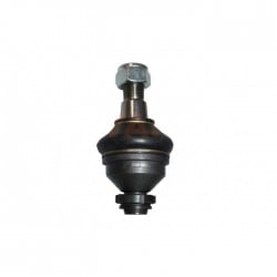 Rotule, bras transversal...