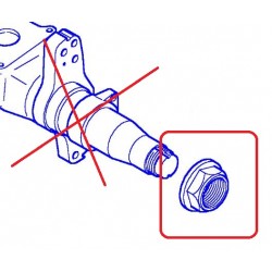 Ecrou central de moyeu pour Renault 7423085183