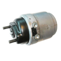 Poumon de frein AR G pour DAF - 0646834