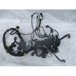 faisceau moteur pour Iveco...