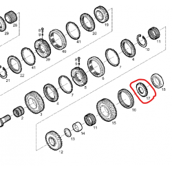 ENGRENAGE pour Iveco - 42561731