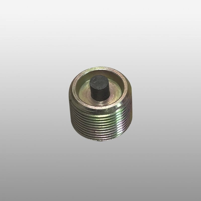 VIS de pont pour MAN 81903010025