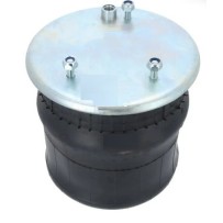 Coussin essieu AR pour Daf