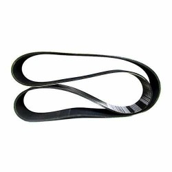 Courroie pour DAF 2382295