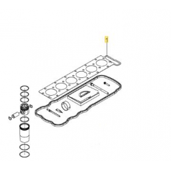 KIT DE REMISE EN ETAT MOTEUR D2676LF EU6 MAN 51005006277