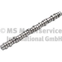 arbre à cames RENAULT TRUCKS 7421110437 - Volvo 21110437