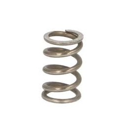 Ressorts de pression x 4 pour MAN 06460800124