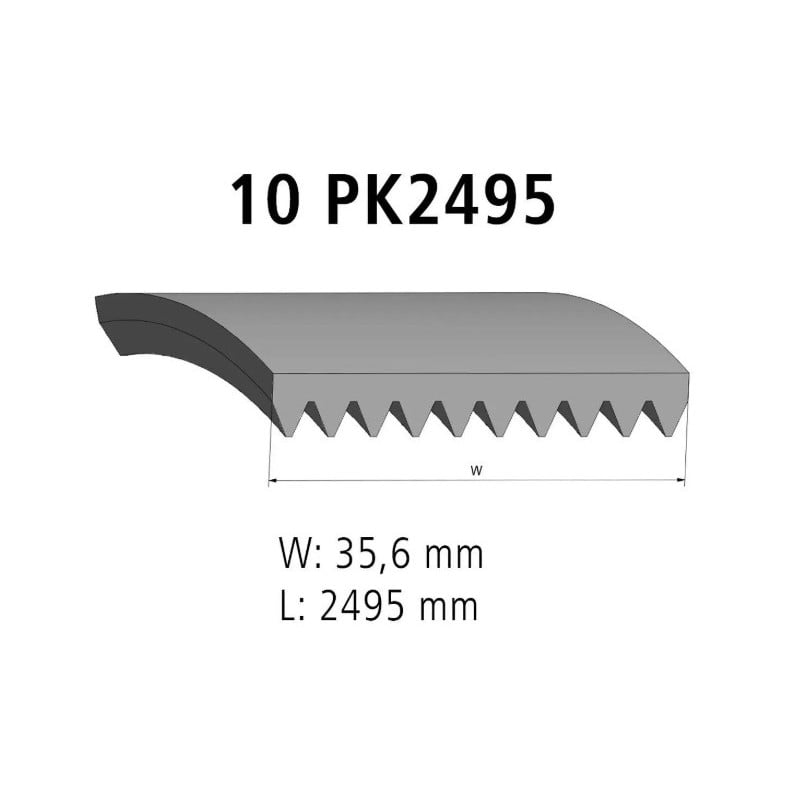 Courroie alternateur pour Scania Série 5 2447572