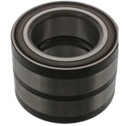 Palier de roulement de roue arrière pour Daf - Mercedes