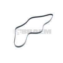 COURROIES AR-MICRO-V LOURDES pour MAN 51968200460