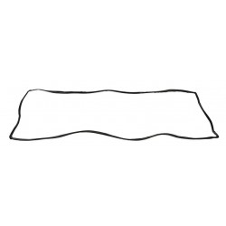 Joint de pare brise pour Daf 1315264