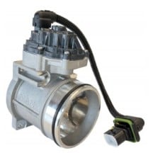 le papillon de votre man est sur 44tonnes.com