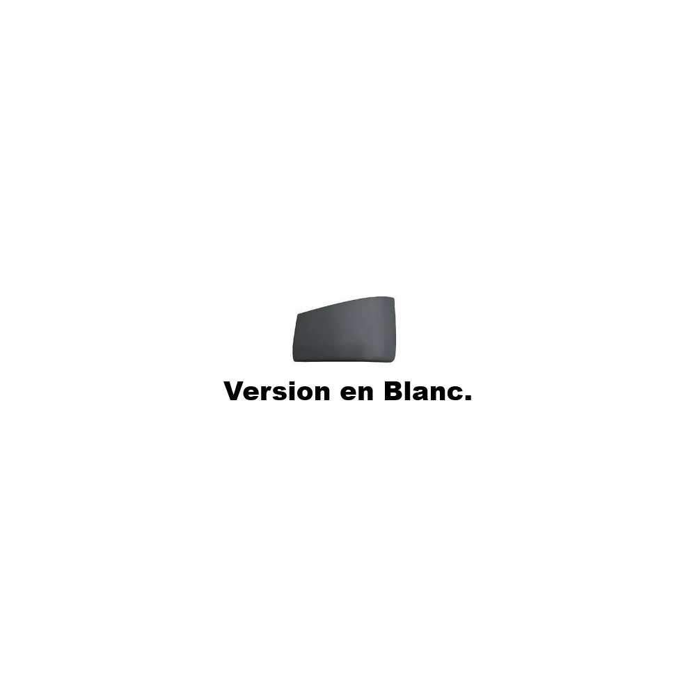 le coin de parechoc gauche de votre renault se trouve sur 44tonnes.com