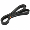 Courroie multi-nervures pour RENAULT, VOLVO - 0022100458 20983649