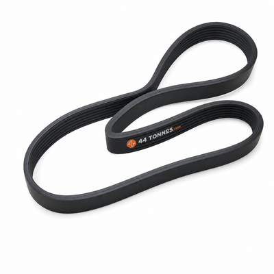 Courroie multi-nervures pour SCANIA - 1517530 1800534 — réf. 44T-TAQGGE, pièce détachée poids lourd